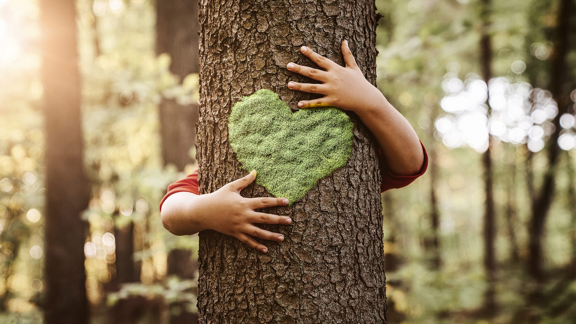 Ecologia integrale per tornare a sperare nel futuro