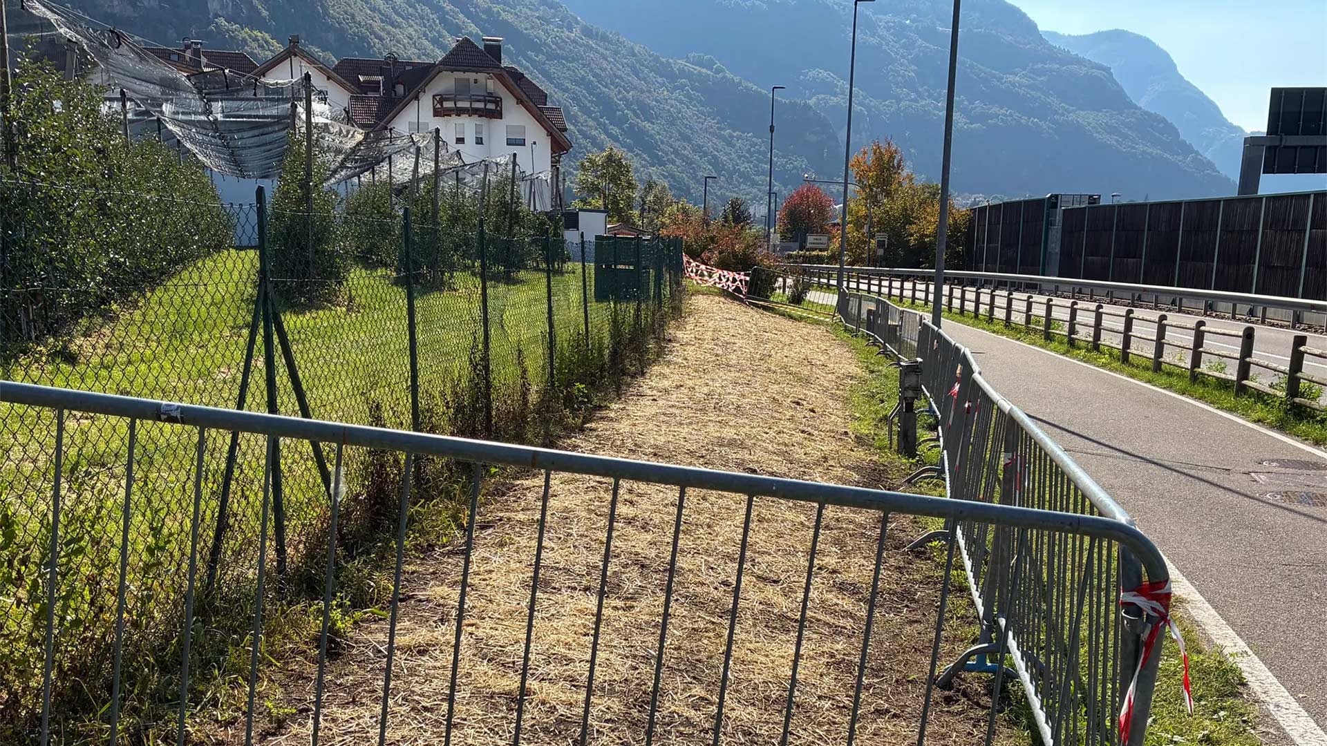 Un’oasi di fiori lungo le strade della città