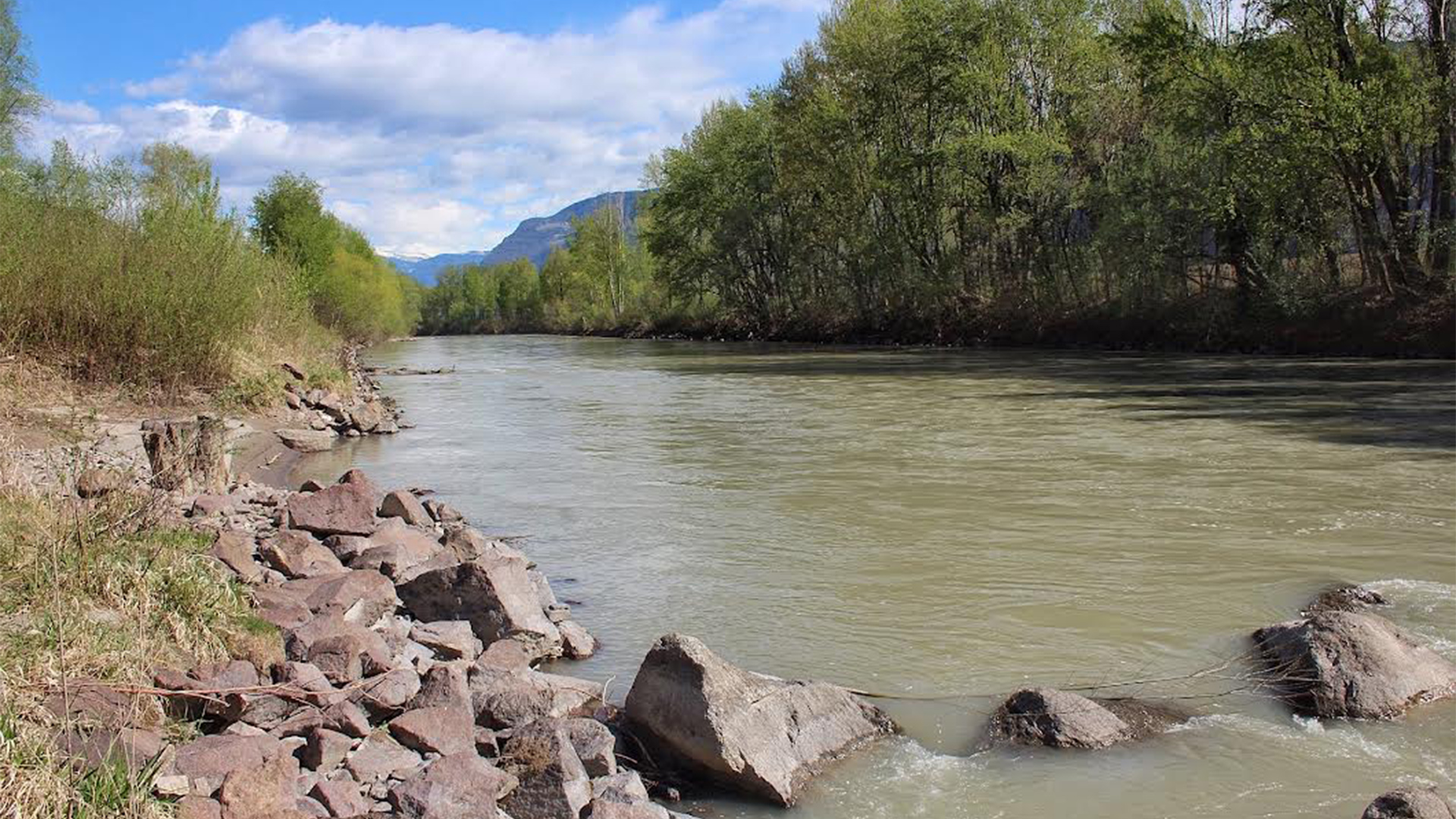 Dove il fiume Adige diventava navigabile