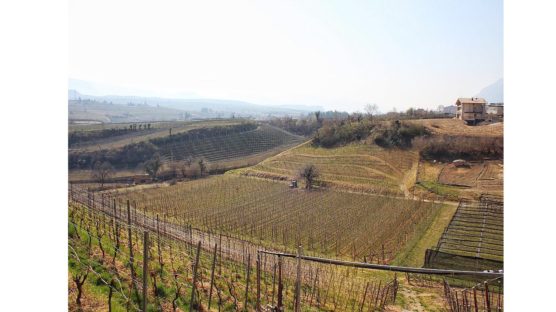 Quando i primi cacciatori risalirono la valle dell’Adige